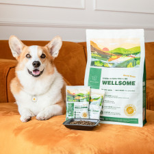 웰썸 곤충사료 강아지사료 1.2kg