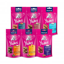 비타크래프트 캣얌 고양이 져키 스낵 간식 40g 7종