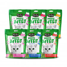 킷캣 브레쓰바이트 고양이 크런치 스낵 간식 60g 6종