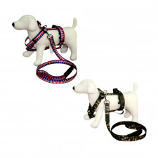 쏘아베 대형견 강아지 목줄/가슴줄 세트 2color
