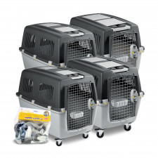 SP 걸리버 이아타 강아지/고양이 하우스 켄넬 이동장 (바퀴O)